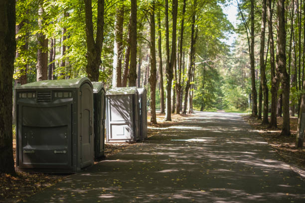 Best Luxury portable toilet rental  in Hickory Hls, IL